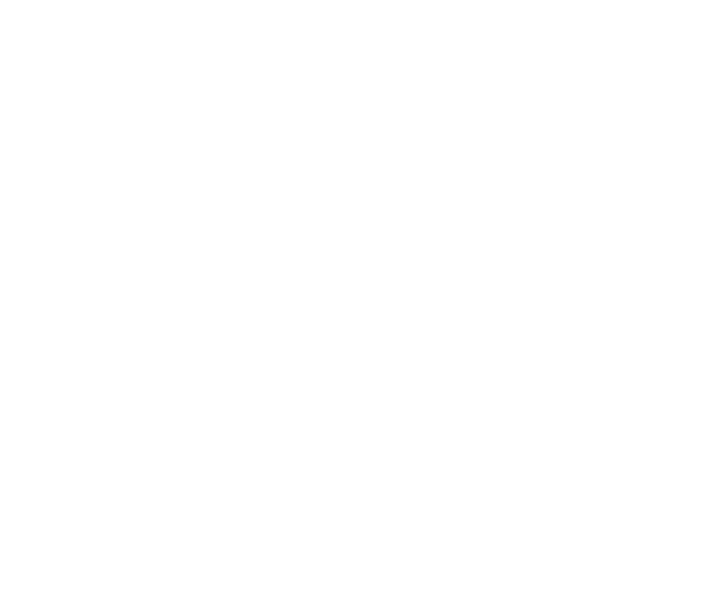 Auction Finance Logo White